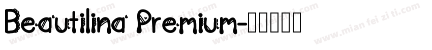 Beautilina Premium字体转换